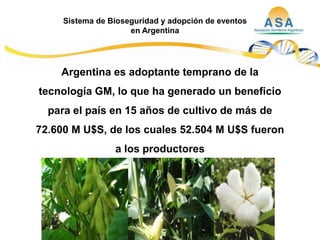 Taller semillas 2011  M. Fabiana Malacarne