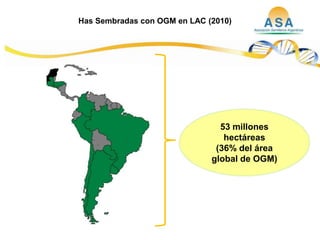 Taller semillas 2011  M. Fabiana Malacarne