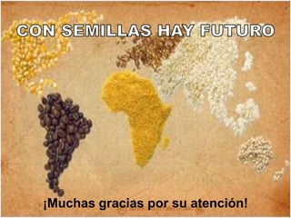 Taller semillas 2011  M. Fabiana Malacarne