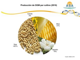 Taller semillas 2011  M. Fabiana Malacarne