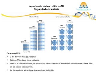Taller semillas 2011  M. Fabiana Malacarne