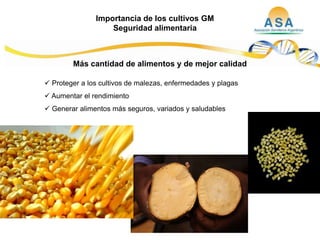 Taller semillas 2011  M. Fabiana Malacarne