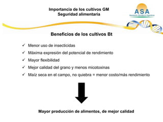 Taller semillas 2011  M. Fabiana Malacarne