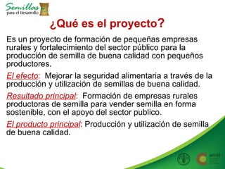 Taller semillas 2011 Allan Hruska