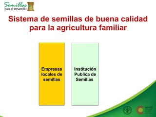 Taller semillas 2011 Allan Hruska