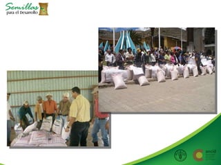 Taller semillas 2011 Allan Hruska