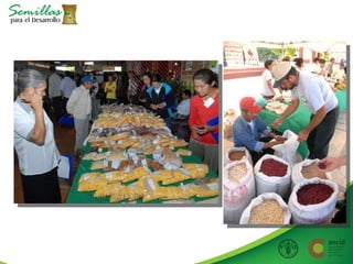 Taller semillas 2011 Allan Hruska