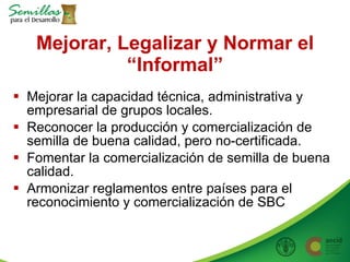 Taller semillas 2011 Allan Hruska