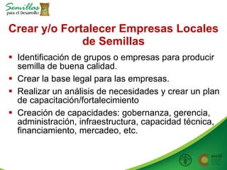 Taller semillas 2011 Allan Hruska