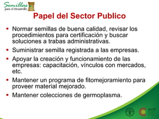 Taller semillas 2011 Allan Hruska