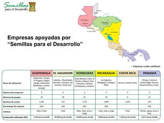 Taller semillas 2011 Allan Hruska