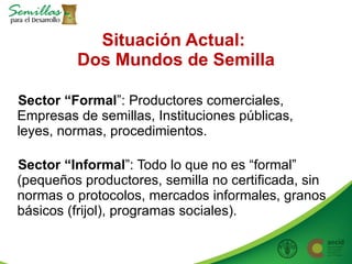 Taller semillas 2011 Allan Hruska