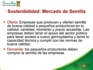 Taller semillas 2011 Allan Hruska