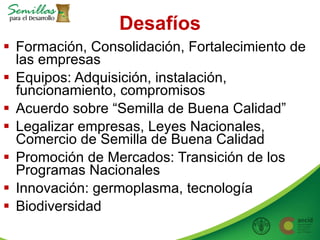 Taller semillas 2011 Allan Hruska