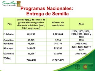 Taller semillas 2011 Allan Hruska