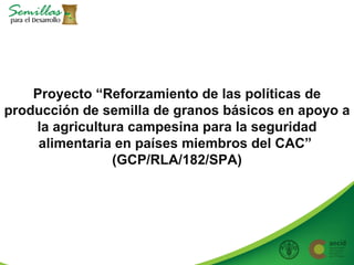 Taller semillas 2011 Allan Hruska