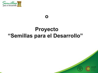 Taller semillas 2011 Allan Hruska