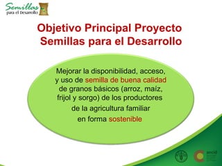 Taller semillas 2011 Allan Hruska