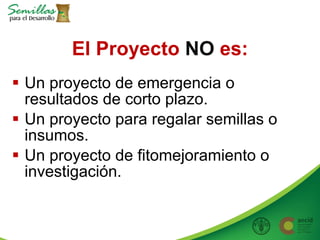 Taller semillas 2011 Allan Hruska