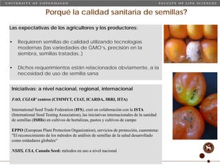 Taller semillas 2011 Carmen Nieves Mortensen