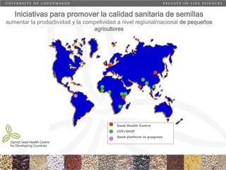 Taller semillas 2011 Carmen Nieves Mortensen