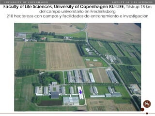 Taller semillas 2011 Carmen Nieves Mortensen