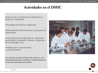 Taller semillas 2011 Carmen Nieves Mortensen