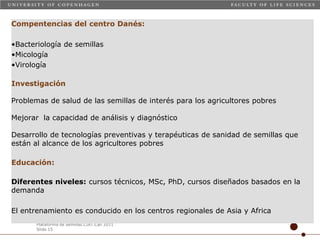 Taller semillas 2011 Carmen Nieves Mortensen