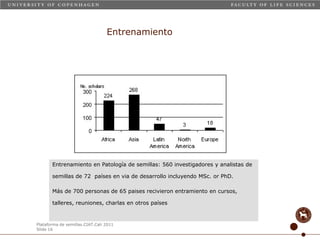 Taller semillas 2011 Carmen Nieves Mortensen