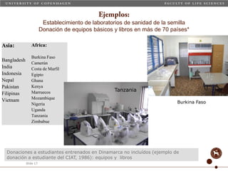 Taller semillas 2011 Carmen Nieves Mortensen