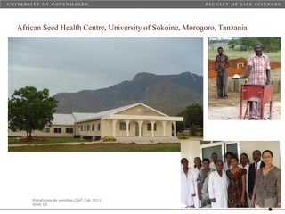 Taller semillas 2011 Carmen Nieves Mortensen