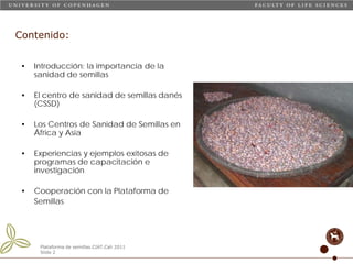 Taller semillas 2011 Carmen Nieves Mortensen