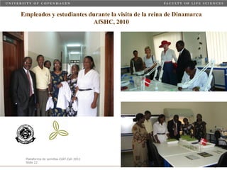 Taller semillas 2011 Carmen Nieves Mortensen