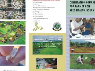 Taller semillas 2011 Carmen Nieves Mortensen