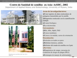 Taller semillas 2011 Carmen Nieves Mortensen