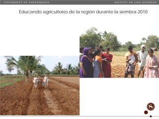 Taller semillas 2011 Carmen Nieves Mortensen