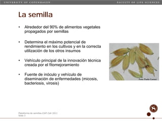 Taller semillas 2011 Carmen Nieves Mortensen