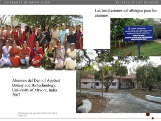 Taller semillas 2011 Carmen Nieves Mortensen