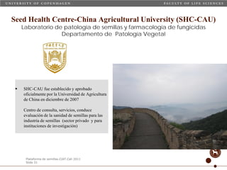 Taller semillas 2011 Carmen Nieves Mortensen