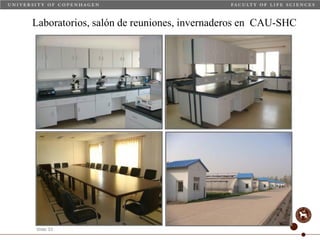 Taller semillas 2011 Carmen Nieves Mortensen