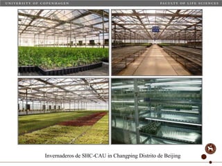 Taller semillas 2011 Carmen Nieves Mortensen