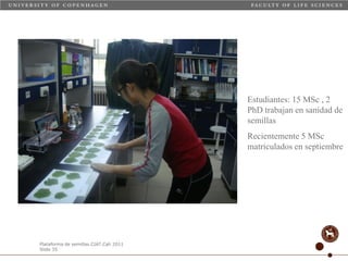 Taller semillas 2011 Carmen Nieves Mortensen