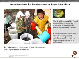 Taller semillas 2011 Carmen Nieves Mortensen