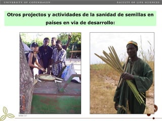 Taller semillas 2011 Carmen Nieves Mortensen