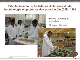 Taller semillas 2011 Carmen Nieves Mortensen