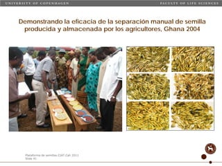 Taller semillas 2011 Carmen Nieves Mortensen