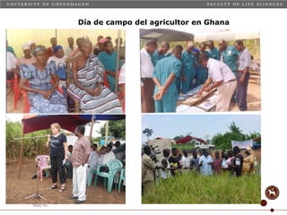 Taller semillas 2011 Carmen Nieves Mortensen