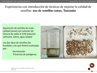 Taller semillas 2011 Carmen Nieves Mortensen