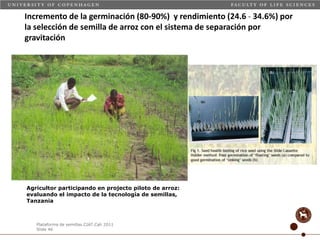 Taller semillas 2011 Carmen Nieves Mortensen