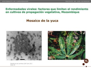 Taller semillas 2011 Carmen Nieves Mortensen